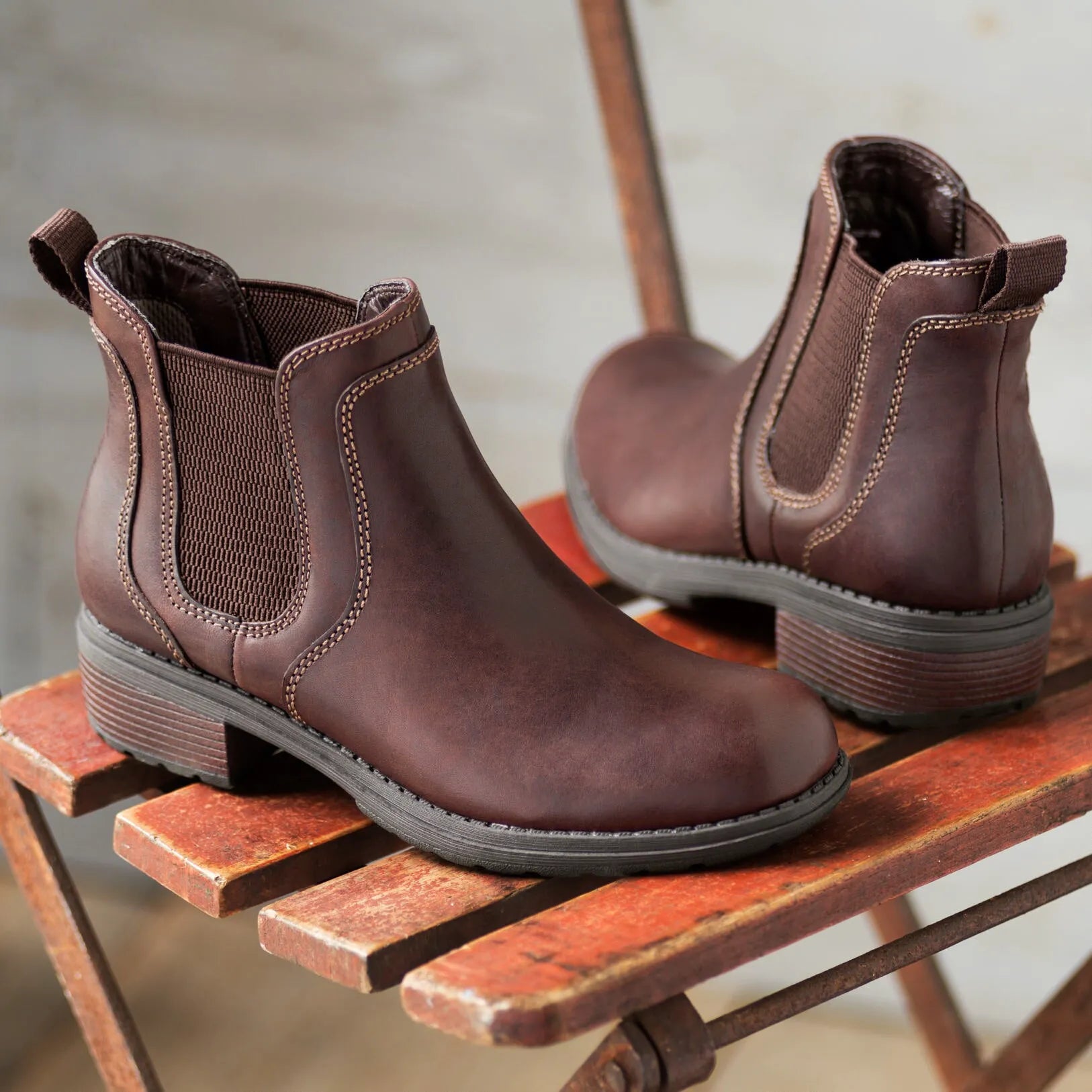Saddle Brown