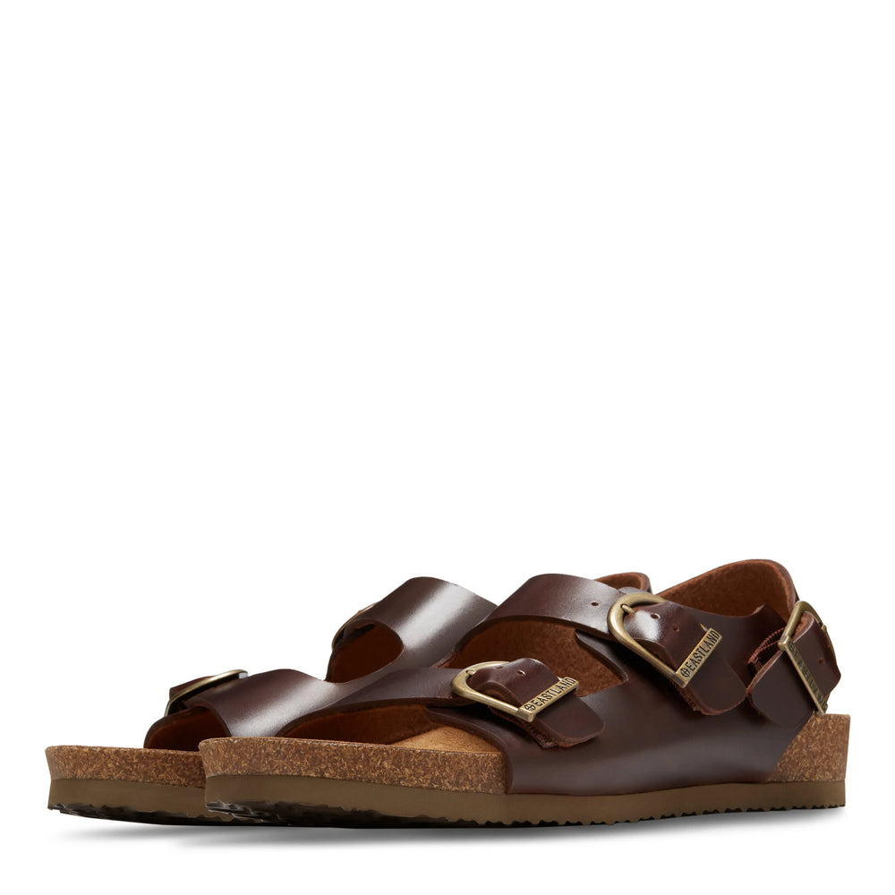 Dark Walnut